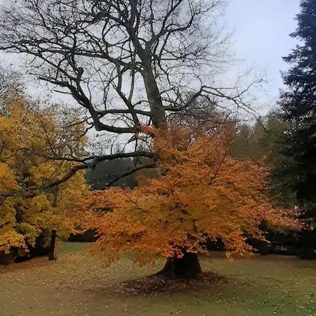 Domaine De Marchal - Chambres D'Hotes 3* Celles-Sur-Durolle