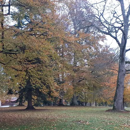 Domaine De Marchal - Et Table D'hotes Bed & Breakfast