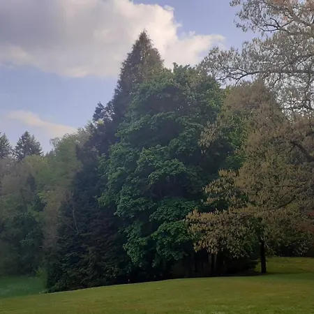 Domaine De Marchal - Et Table D'hotes Bed & Breakfast 3*