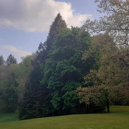 Domaine De Marchal - Et Table D'hotes Alojamento de Acomodação e Pequeno-almoço *