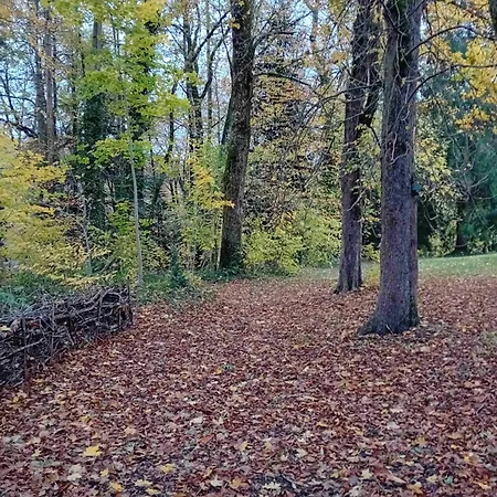 Bed & Breakfast Domaine De Marchal - Et Table D'hotes 3*