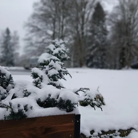 Bed & Breakfast Domaine De Marchal - Et Table D'hotes