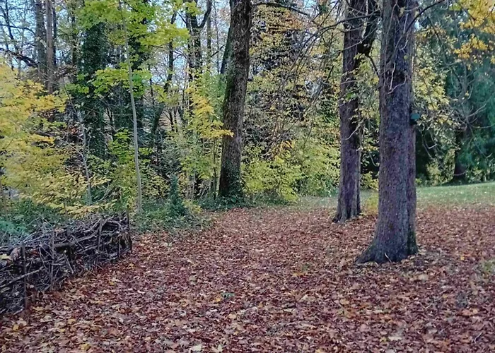 Bed & Breakfast Domaine De Marchal - Et Table D'hotes 3*